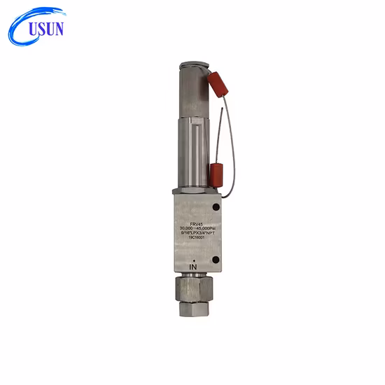 Usun-Modell: Frv10 Ähnliches Hüft-Hochdruck-Sicherheitsentlastungsventil für Sicherheitsprüfstände
